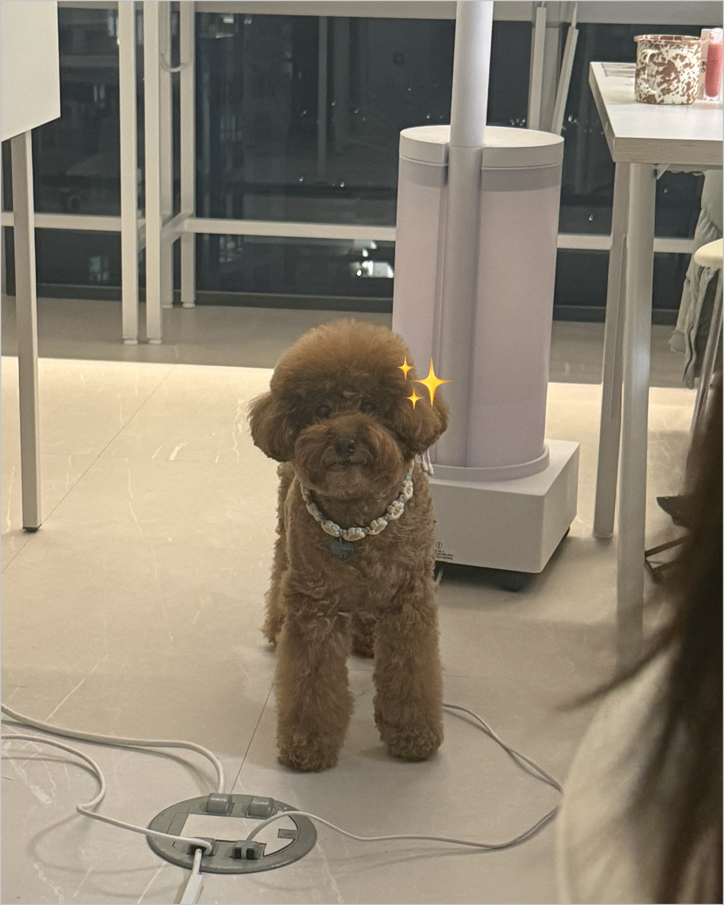 띵동